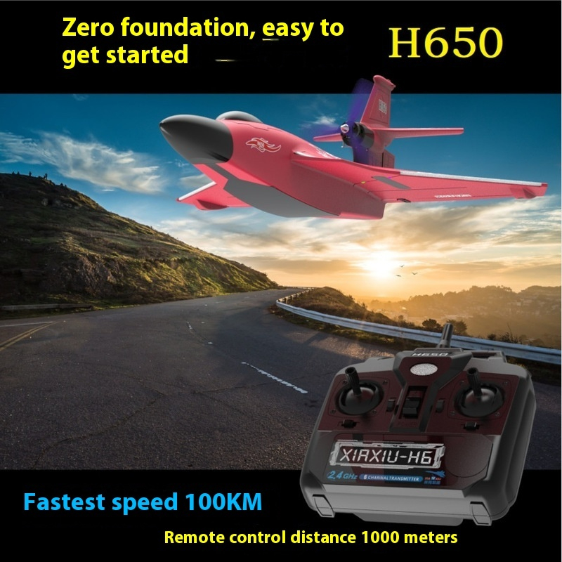 H650 Big Size Rc Plane Water P – Rc Glider Foam Wing recenzja i cena