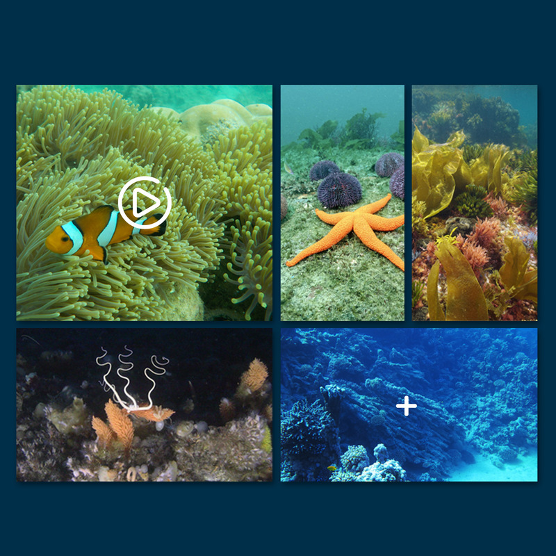 Mini Wifi Rc Underwater Camera – Rc Hobby Photos recenzja i cena